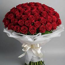 Букет 101 Красная роза Блэк Мэджик в Никольске