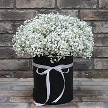 Цветочная композиция из Гипсофила в шляпной коробке в Никольске